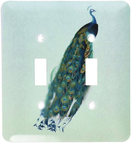 3dRose lsp_53982_2" Peacock with Teal, Yellow and Brown Feathers on sea Foam Green Damask Background-Double" Toggle Switch