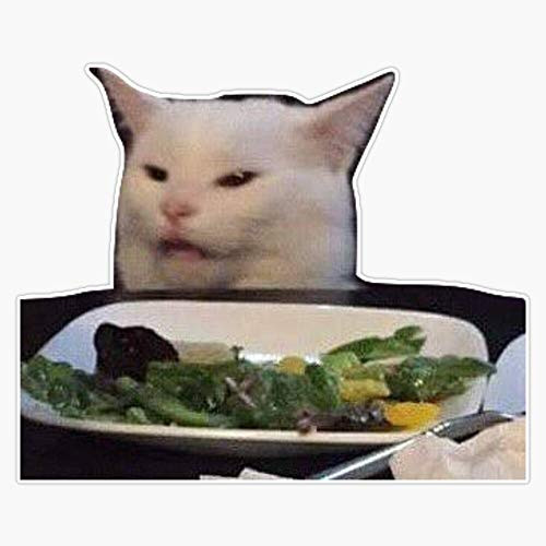 Leyland Designs Meme Cat Sticker Sticker Outdoor Rated Vinyl Sticker Decal for Windows Bumpers Laptops or Crafts 5 inch