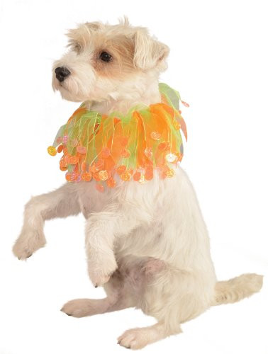 Rubies Pet Costume Collar Small to Medium Green and Orange Pumpkin