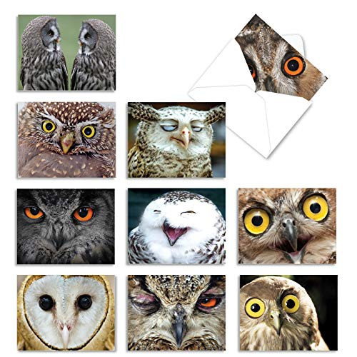 10 What a Hoot Thank You Note Cards with Envelopes 4 x 5.12 inch - Owl Note Cards Say Thanks for Weddings Baby Showers Thanksgiving - Boxed All-Occasion Set of Bird Cards M1769TY 10 What a Hoot Thank You Note Cards with Envelopes 4 x 5.12 inch - Owl Note Cards Say Thanks for Weddings Baby Showers Thanksgiving - Boxed All-Occasion Set of Bird Cards M1769TY