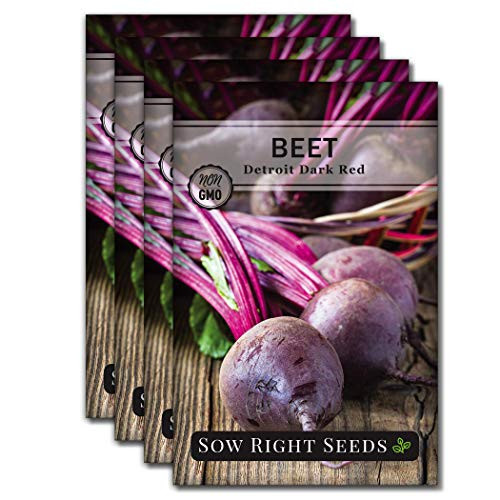 Sow Right Seeds - Detroit Dark Red Beet Seed for Planting - Non-GMO Heirloom Packet with Instructions to Plant a Home Vegetable Garden - Great Gardening Gift -4-