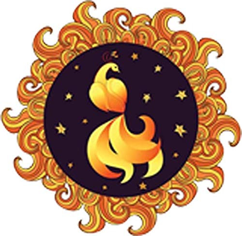 Circle Design with Mythical Magical Sun Swirl Fire Bird Bird Phoenix Bird Design Vinyl Sticker -4 inch Tall-