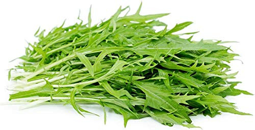 PAPCOOL 10 Mustard Mizuna S??DS for Pl?nting - Mizuna Mustard Green S??DS for Grówing