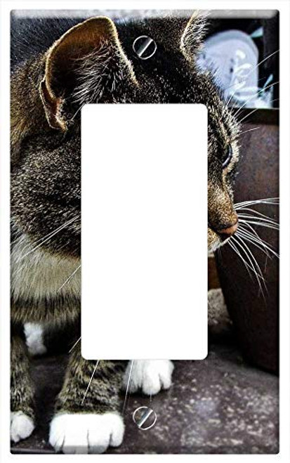 Switch Plate Single Rocker/GFCI - Cat Countryside Country Animal Nature Mammal Pet Switch Plate Single Rocker/GFCI - Cat Countryside Country Animal Nature Mammal Pet