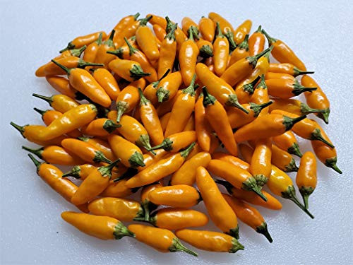 Yellow Pequin Pepper 10 Plus Seeds