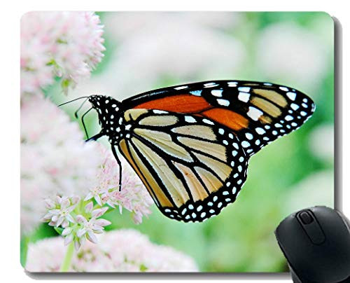Anti-Fray Cloth Gaming Mouse PadButterfly Nature Macro Beauty Yellow Mouse Pads