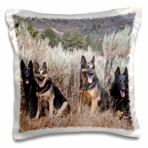 3D Rose Four German Shepherd Dogs-Na02 Zmu0162-Zandria Muench Beraldo Design Pillowcase 16 inch x 16 inch 3D Rose Four German Shepherd Dogs-Na02 Zmu0162-Zandria Muench Beraldo Design Pillowcase 16 inch x 16 inch