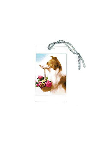 Border Collie Brown and White Dog Ornament and Thinking of You Greeting Card