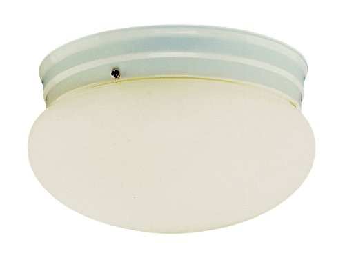 Trans Globe Lighting PL-3620 WH Indoor Dash 10" Flushmount, White