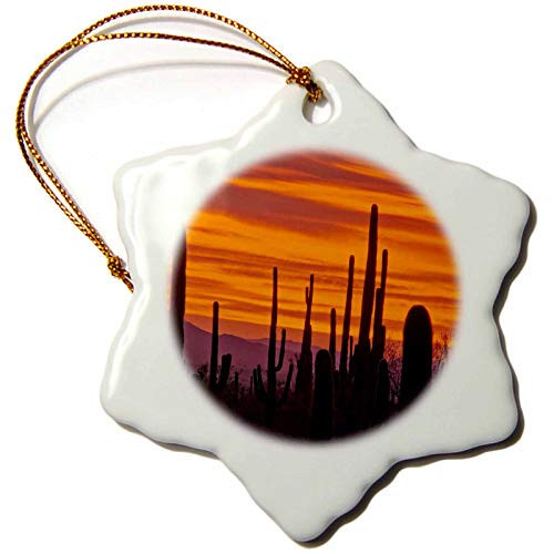 3dRose" Sunset, Saguaro National Park, Arizona, USA Snowflake Ornament 3"