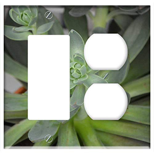 2-Gang Rocker/GFCI Outlet Combination Wall Plate Cover - Succulent Green Cactus Nature Garden Pot 2-Gang Rocker/GFCI Outlet Combination Wall Plate Cover - Succulent Green Cactus Nature Garden Pot