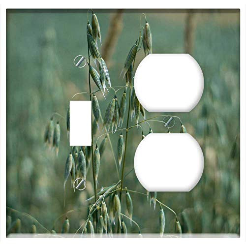 2-Gang Toggle Outlet Combination Wall Plate Cover - Oats Corn Field Green Agriculture Tillage Grains 2-Gang Toggle Outlet Combination Wall Plate Cover - Oats Corn Field Green Agriculture Tillage Grains