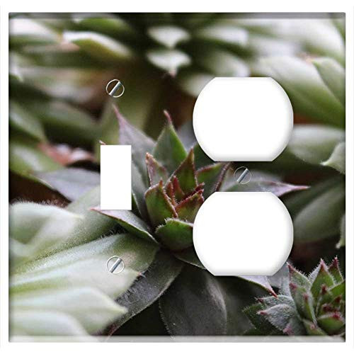 2-Gang Toggle Outlet Combination Wall Plate Cover - Plant Succulent Stone Garden Cactus Green Nature