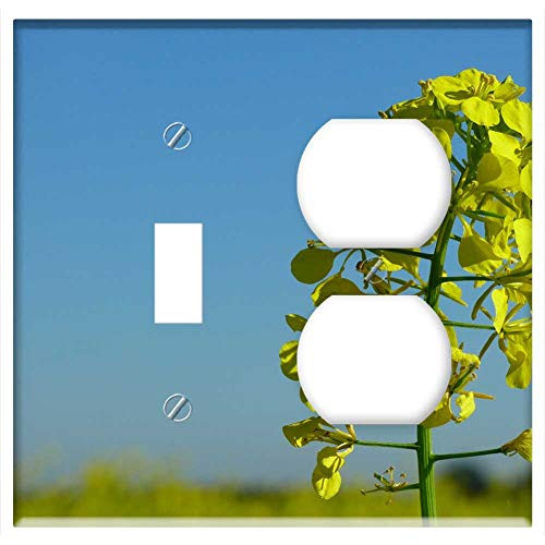 2-Gang Toggle Outlet Combination Wall Plate Cover - Mustard Mustard Field Fertilizer Agriculture Yellow 2-Gang Toggle Outlet Combination Wall Plate Cover - Mustard Mustard Field Fertilizer Agriculture Yellow