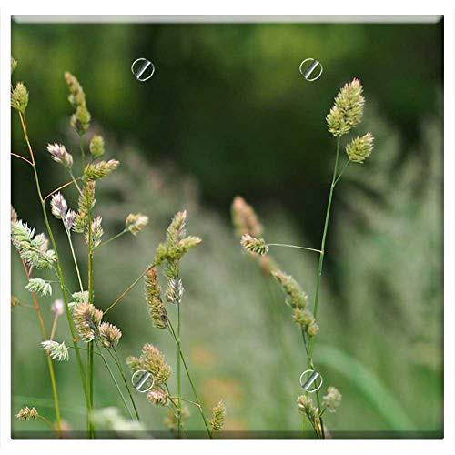 Double Blank Wall Plate Cover - Hay Nature Green Field Straw Countryside Meadow Double Blank Wall Plate Cover - Hay Nature Green Field Straw Countryside Meadow
