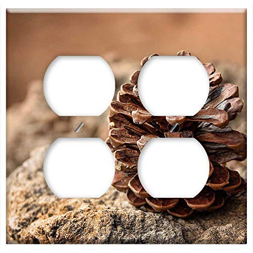 Double Duplex Outlet Wall Plate Cover - Pine Cones Pine Fruit Forest Nature Dry Desert