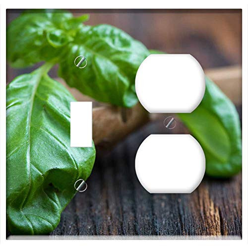 2-Gang Toggle Outlet Combination Wall Plate Cover - Basil Green Frisch Basil Leaf Healthy Eat Food