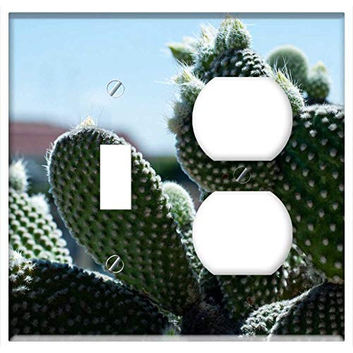 2-Gang Toggle Outlet Combination Wall Plate Cover - Cactus Plant Green Nature Succulent Desert Cacti