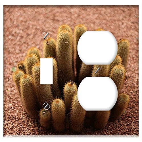 2-Gang Toggle Outlet Combination Wall Plate Cover - Cactus Spur Thorns Plant Green Prickly Nature