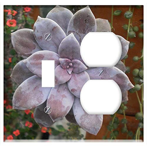 2-Gang Toggle Outlet Combination Wall Plate Cover - Green House Cactus Flora Garden Nature Succulent 1