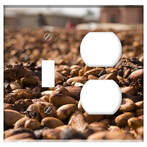 2-Gang Toggle Outlet Combination Wall Plate Cover - Cocoa Beans Food Chocolate Brown Cacao Ingredient
