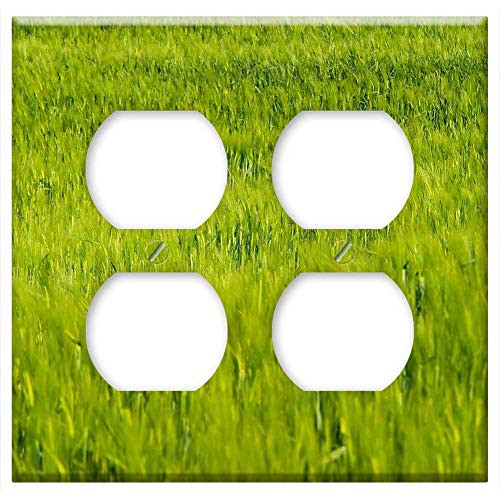 Double Duplex Outlet Wall Plate Cover - Wheat Field Plants Natural Outdoors Dry Green