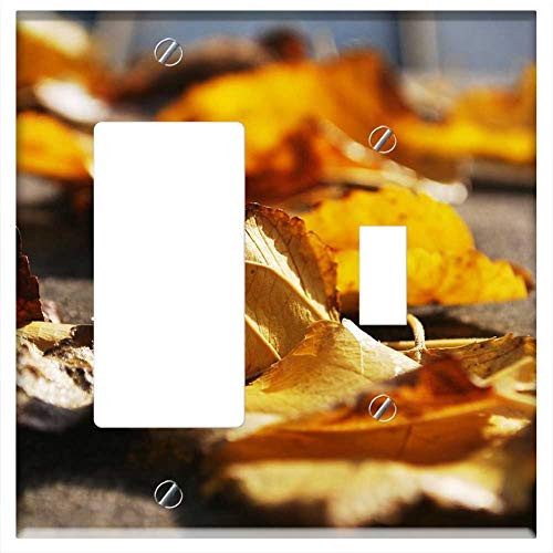 Rocker/GFCI Toggle Combination Wall Plate Cover - Autumn Leaves Orange Brown Colorful Fall Dry
