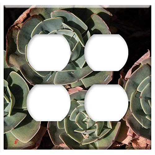 Double Duplex Outlet Wall Plate Cover - Succulent Green Pink Rosettes Circles Pattern
