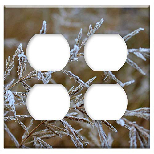 Double Duplex Outlet Wall Plate Cover - Grass Dry Frost Winter Nature Season