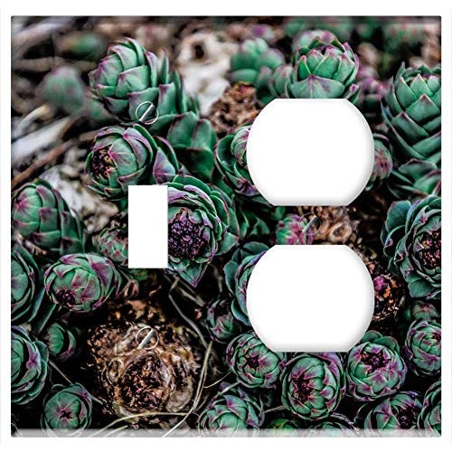 2-Gang Toggle Outlet Combination Wall Plate Cover - Succulent Plant Garden Green Cactus Nature