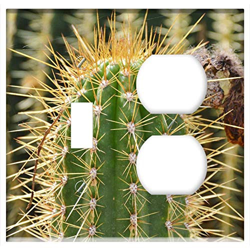 2-Gang Toggle Outlet Combination Wall Plate Cover - Cactus Spur Green Prickly Plant Thorns Nature 4