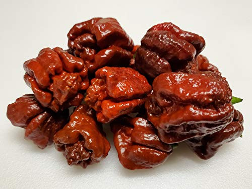 7 Pot Brown Pepper 10 Plus Seeds