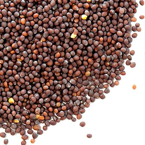 Spice Jungle Brown Mustard Seed - 1 oz. Spice Jungle Brown Mustard Seed - 1 oz.