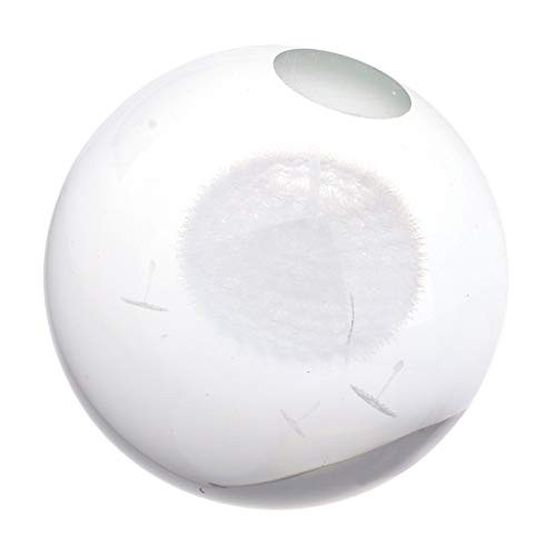 Flameer Crystal Ball Glass Sphere Display Dandelion Paperweight Heal Meditation Ball for Creative Gift