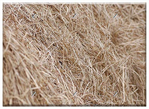 Triple Blank Wall Plate Cover - Hay Field Grass Countryside Farm Farmland Natural Triple Blank Wall Plate Cover - Hay Field Grass Countryside Farm Farmland Natural