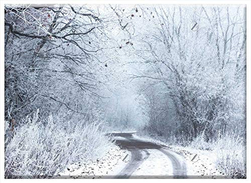 Triple Blank Wall Plate Cover - Snow Winter Cold Road Rural Countryside Trees
