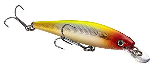 Strike King KVD Jerkbait 100 2 Hook/Clown