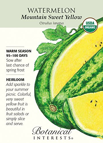 Organic Mountain Sweet Yellow Watermelon Seeds - 1 Gram