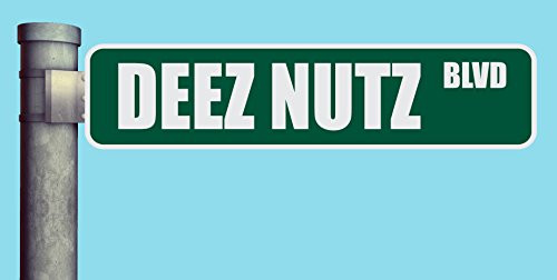 DEEZ NUTZ BLVD STREET SIGN BOULEVARD HEAVY DUTY ALUMINUM ROAD SIGN 17 inch x 4 inch