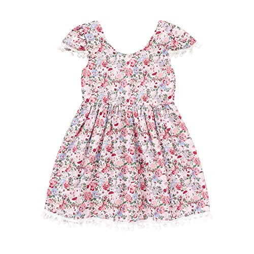 YOUNGER TREE Infant Toddler Baby Girl Summer Floral Dress Sleeveless Tassel Princess Sundress Girl Casual Flower Dresses -Pink 4-5T-