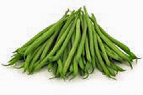 Bean Kentucky Wonder Pole Green Bean Heirloom 100 Plus Seeds Classic Bean Bean Kentucky Wonder Pole Green Bean Heirloom 100 Plus Seeds Classic Bean
