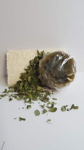 Moringa Leaf Loofah Soap 3 Pc Set - All Natural - Made Fresh on Demand