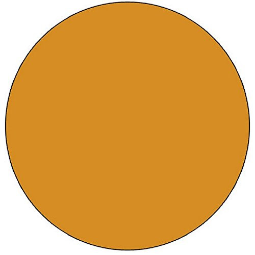 3/4 inch Diameter Fluorescent Orange Circle Labels -500 per Roll-