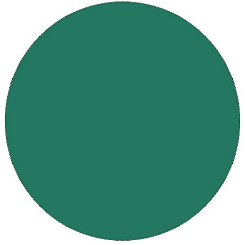 3/4 inch Diameter Standard Green Circle Labels -500 per Roll-