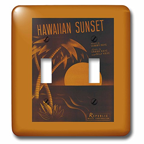3dRose lsp_170739_2 Hawaiian Sunset Tropical Sunset with Palm Tree Light Switch Cover