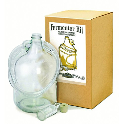 Craft a Brew 1 Gallon Fermentation Kit for Beer Wine Cider and More  Easy Homebrew Experience Clear