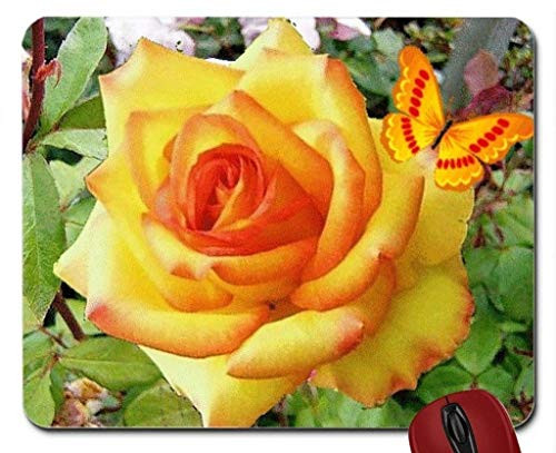 BGLKCS Mouse pad Butterfly on Yellow Rose Mouse pad Computer Mousepad