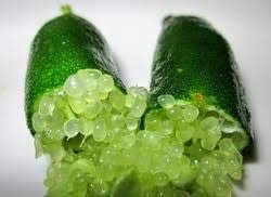 Elwyn 20 Finger Lime Fruit Seeds Green.