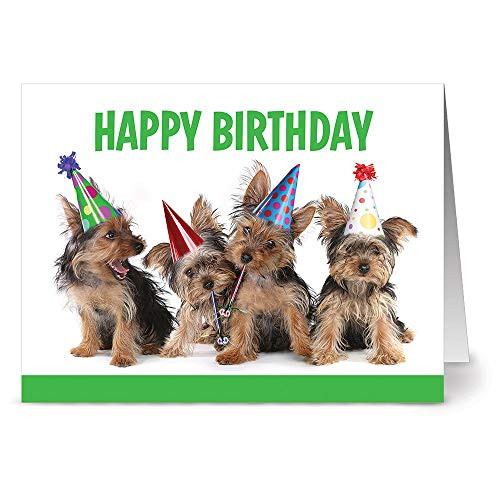 Happy Birthday Cards  24 Pack  Happy Birthday Green Canine Gang  Unique Design YELLOW ENVELOPES INCLUDED  Greeting Cards  Glossy Cover Blank Inside  By Note Card Cafe