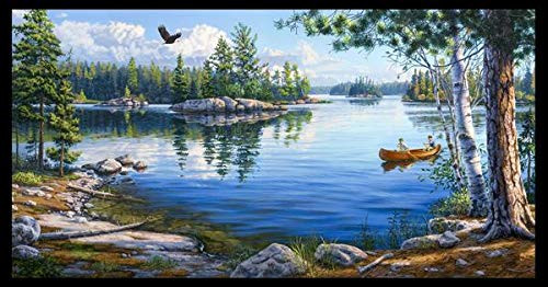 Blue Waters 24 inch x 44 inchPanel 8911 from Elizabeths Studio by The Panel